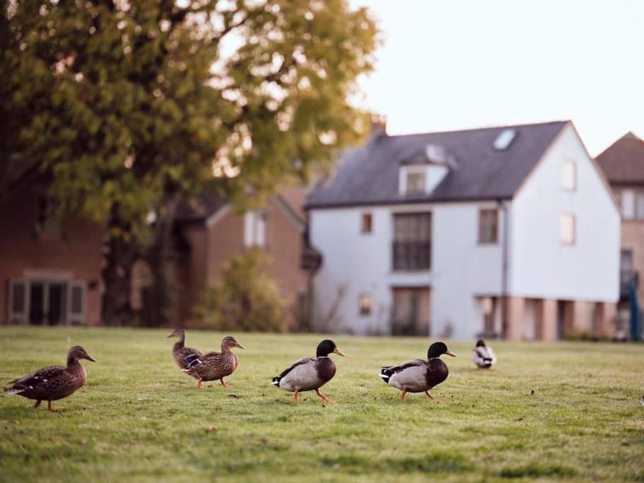 Castleford Cottage , Lowermill Estate Somerford Keynes Exterior photo